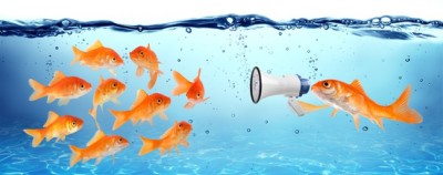 fotolia_75577352_xs_fische_megaphone-400x158